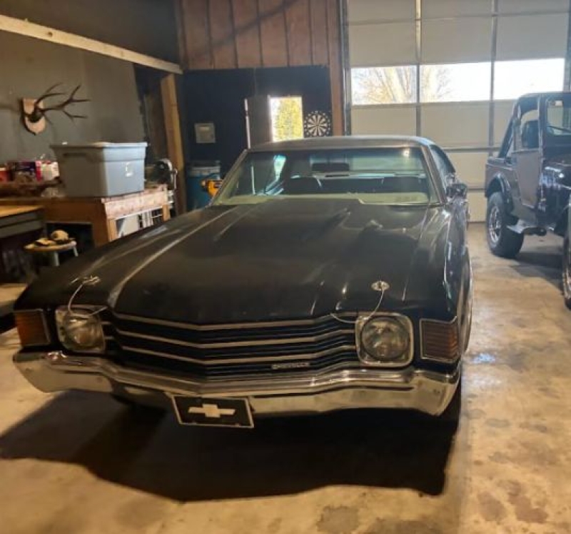1972 Chevrolet Malibu for sale in Michigan (ID-155673)