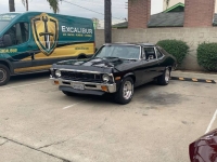 1972 Chevrolet Nova for sale in Michigan (ID-106136)
