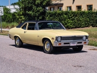 1972 Chevrolet Nova for sale (ID-116386)