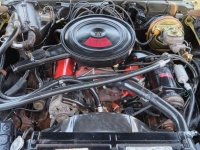 1972 Chevrolet Nova for sale (ID-116386)