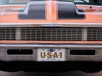 1972 Chevrolet Nova for sale in Riverhead, New York (ID-124927)