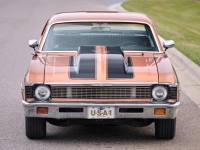 1972 Chevrolet Nova for sale (ID-125120)