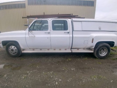 1972 Chevrolet Pickup for sale