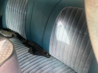 1972 Dodge Charger for sale in Michigan (ID-113257)