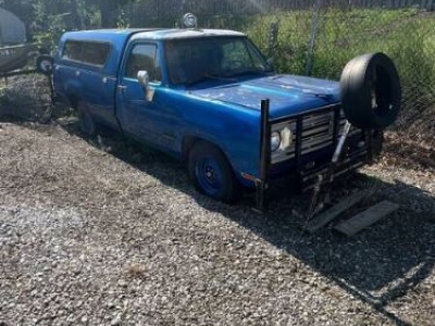 1972 Dodge D100 for sale