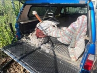 1972 Dodge D100 for sale in Michigan (ID-128001)