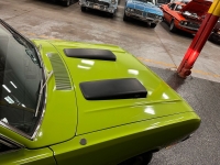 1972 Dodge Dart for sale in Addison, Illinois (ID-118062)
