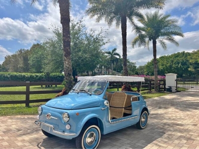 1972 Fiat 500 for sale