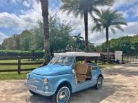 1972 Fiat 500 for sale in Michigan (ID-123949)