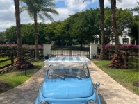 1972 Fiat 500 for sale in Michigan (ID-123949)