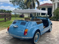1972 Fiat 500 for sale in Michigan (ID-123949)