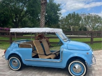 1972 Fiat 500 for sale in Michigan (ID-123949)