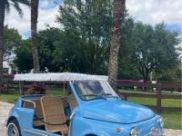 1972 Fiat 500 for sale in Michigan (ID-123949)