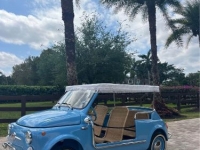 1972 Fiat 500 for sale in Michigan (ID-123949)