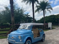 1972 Fiat 500 for sale in Michigan (ID-123949)