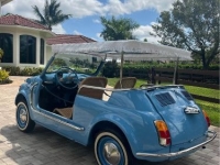 1972 Fiat 500 for sale in Michigan (ID-123949)