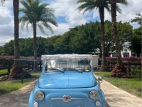 1972 Fiat 500 for sale in Michigan (ID-123949)