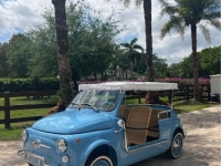 1972 Fiat 500 for sale in Michigan (ID-123949)