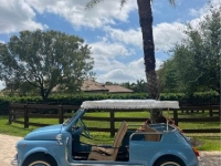 1972 Fiat 500 for sale in Michigan (ID-123949)
