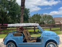1972 Fiat 500 for sale in Michigan (ID-123949)