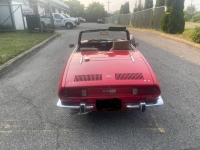 1972 Fiat 850 Spider for sale in Michigan (ID-120752)