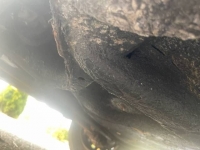 1972 Fiat 850 Spider for sale in Michigan (ID-120752)