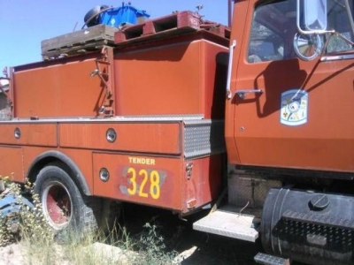 1972 Ford 8000 for sale