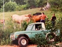 1972 Ford Bronco for sale in Michigan (ID-108566)