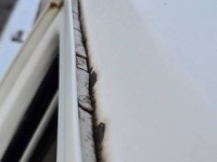 1972 Ford F100 for sale in Michigan (ID-162224)