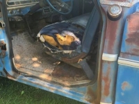 1972 Ford F250 for sale in Michigan (ID-131448)