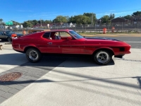 1972 Ford Mustang for sale in Michigan (ID-107018)