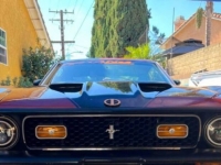1972 Ford Mustang for sale in Michigan (ID-111456)