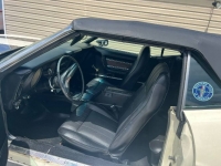 1972 Ford Mustang for sale in Michigan (ID-119667)
