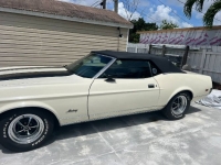 1972 Ford Mustang for sale in Michigan (ID-119667)