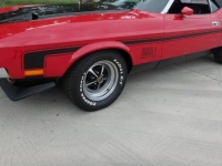 1972 Ford Mustang for sale in Michigan (ID-121813)