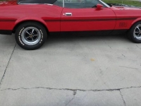 1972 Ford Mustang for sale in Michigan (ID-121813)