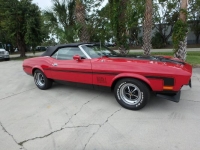 1972 Ford Mustang for sale in Michigan (ID-121813)
