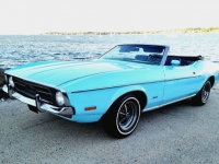 1972 Ford Mustang for sale in Michigan (ID-121950)