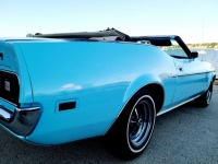 1972 Ford Mustang for sale in Michigan (ID-121950)
