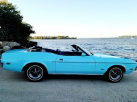 1972 Ford Mustang for sale in Michigan (ID-121950)