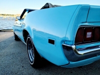 1972 Ford Mustang for sale in Michigan (ID-121950)