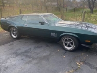 1972 Ford Mustang for sale in Michigan (ID-123261)