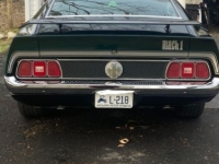 1972 Ford Mustang for sale in Michigan (ID-123261)