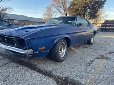 1972 Ford Mustang for sale