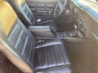 1972 Ford Mustang for sale in Michigan (ID-123739)