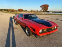 1972 Ford Mustang for sale in Michigan (ID-123739)