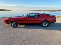1972 Ford Mustang for sale in Michigan (ID-123739)