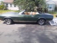 1972 Ford Mustang for sale in Michigan (ID-124999)