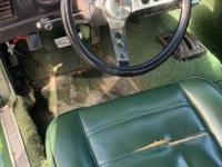 1972 Ford Mustang for sale in Michigan (ID-126363)