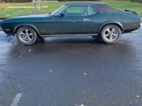 1972 Ford Mustang for sale in Michigan (ID-126363)